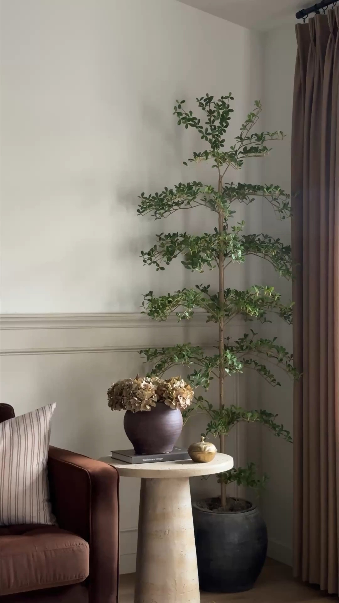 7 foot tall black olive tree, Amazon

#LTKHome #LTKSaleAlert