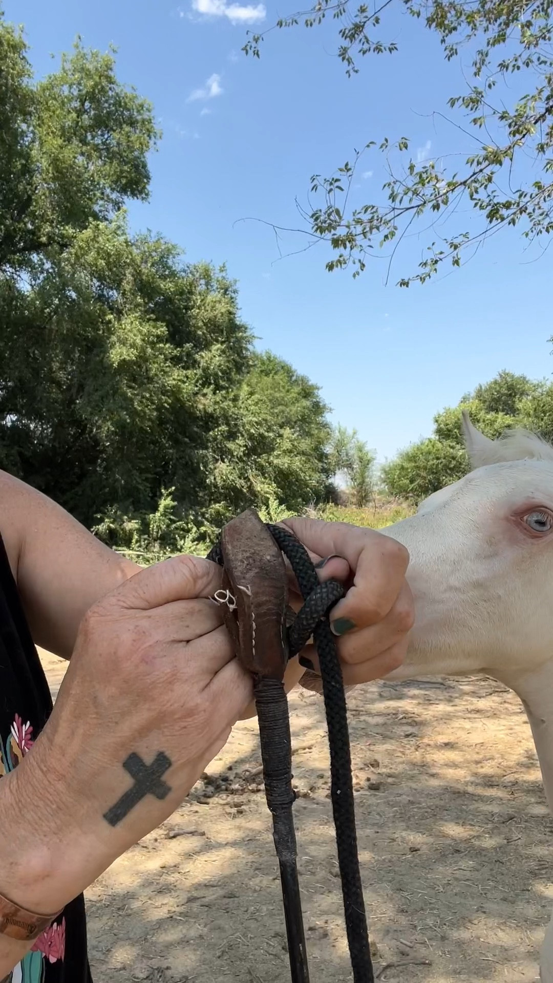 The stick and string hack makes for a great training tool when working with goals. #horsetraining #horseproducts #amazonfinds 

#LTKU