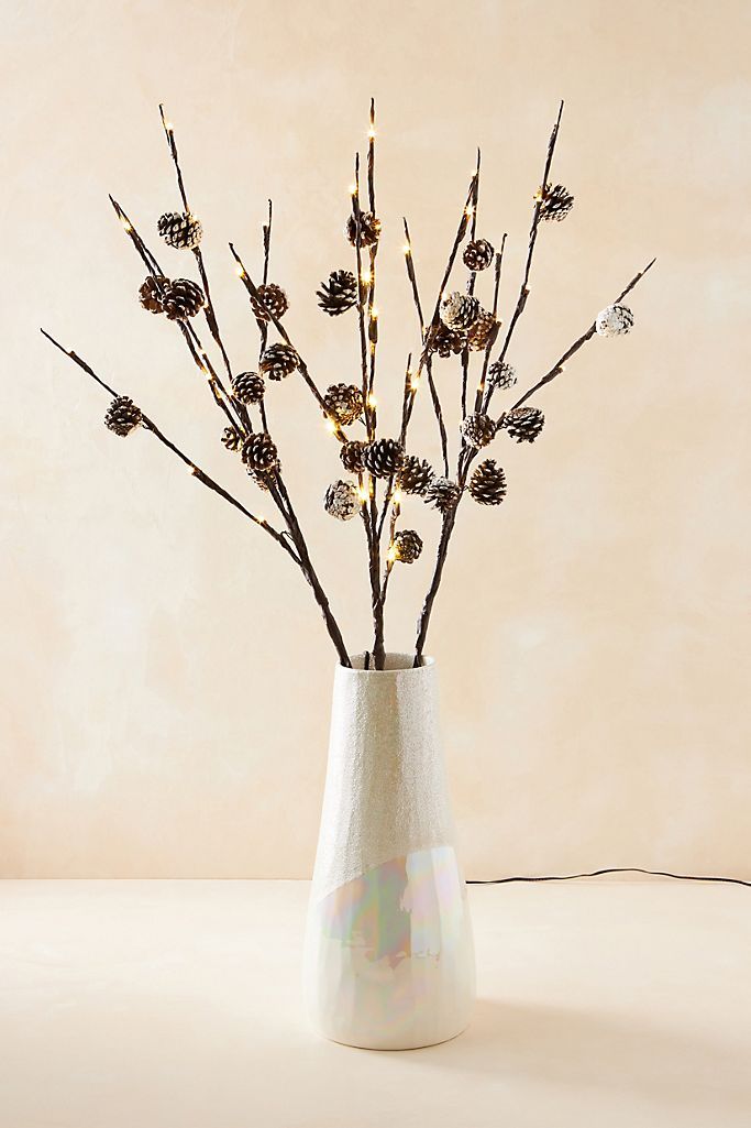 Twinkling Pinecone Branches | Anthropologie (US)