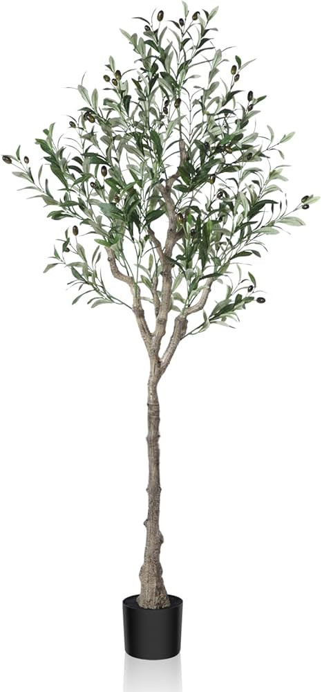 Dr.Planzen Artificial Olive Tree,5FT Tall Fake Plant Faux Olive Plants for Indoor,Natural Fake Tr... | Amazon (US)