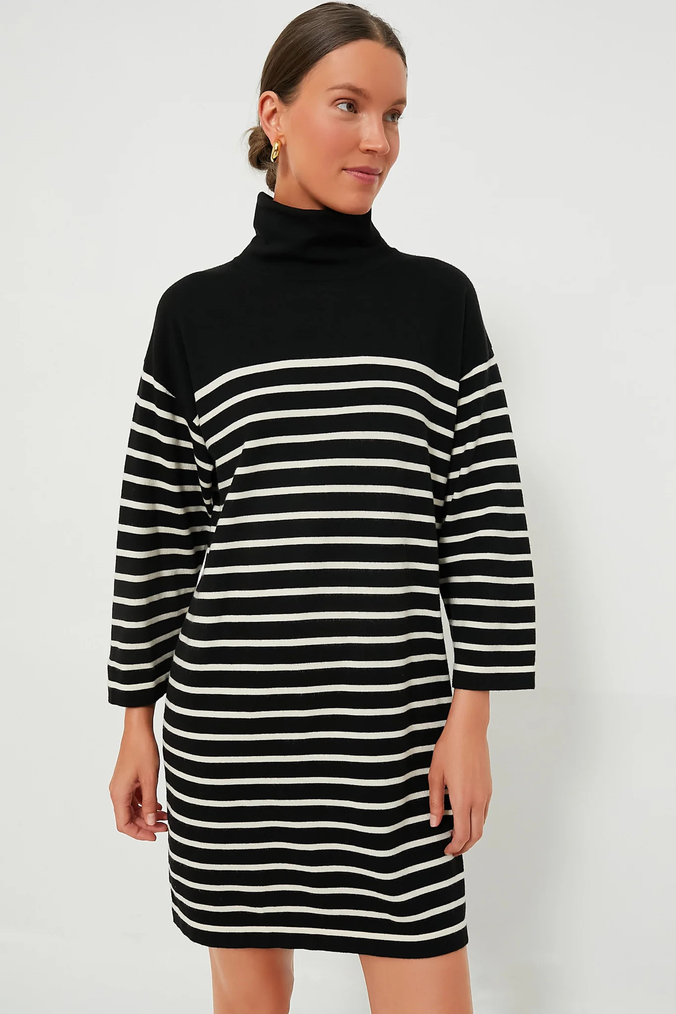 Striped Durand Turtleneck Dress | Tuckernuck (US)