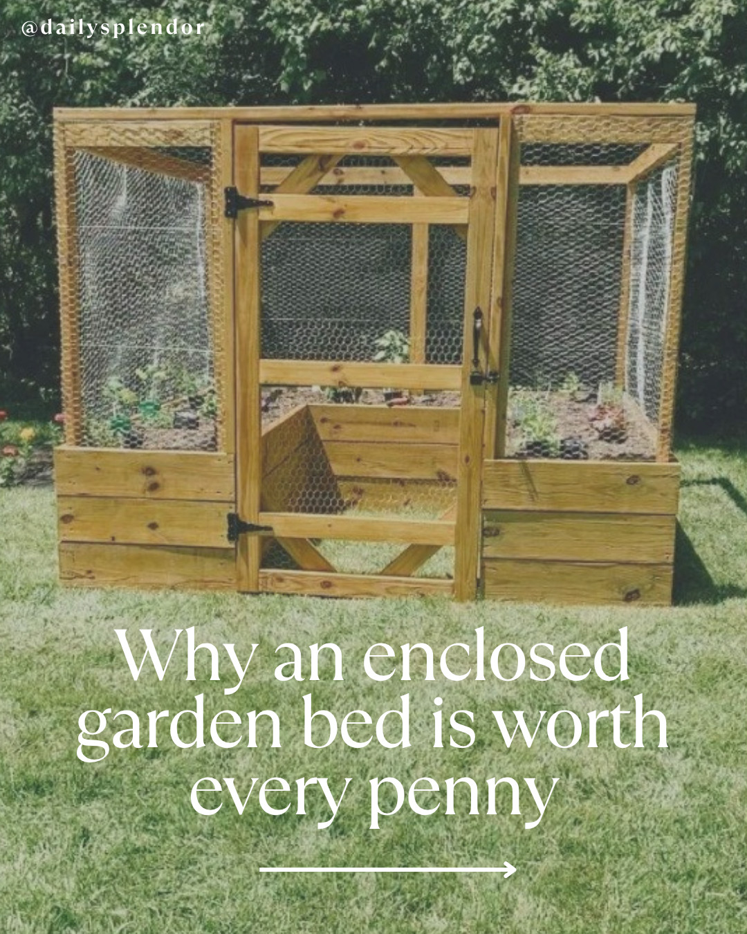 Have you ever wanted your own enclosed garden bed? Get the supply list + full tutorial of how we built ours in just one weekend at the link in my bio! #garden #enclosedgardenbed #gardenbed #raisedgardenbed #vegetablegarden #homegardening #DIYgarden 

 #LTKSeasonal #LTKOver40 #LTKHome