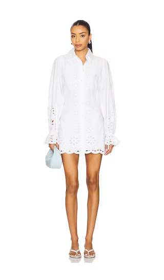 Tessia Mini Dress in White | Revolve Clothing (Global)