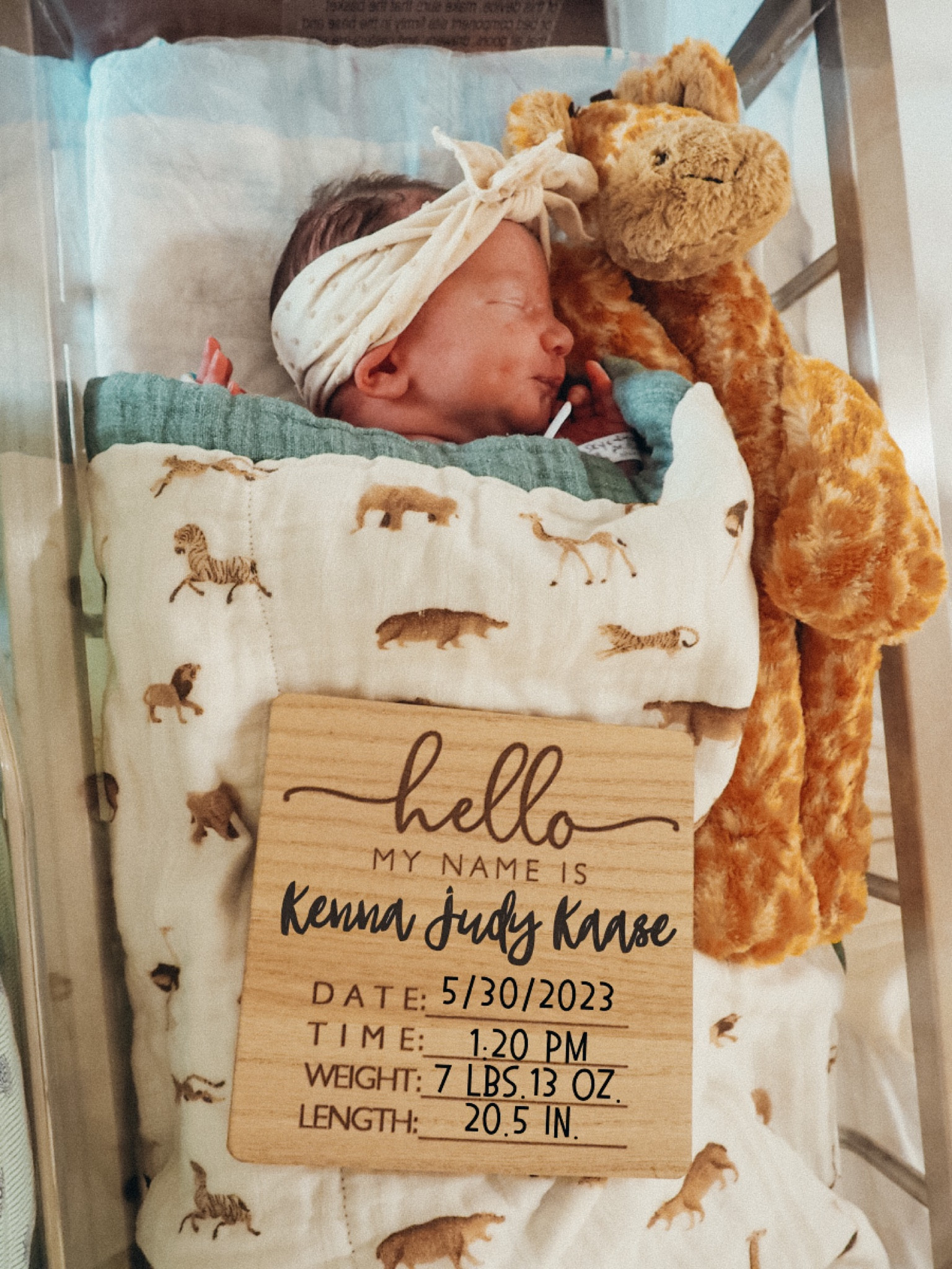 Baby announcement 💛

Baby quilt is from little unicorn and super soft!

Sharing similar baby announcement signs 🧡

Bow is baby bling!

Baby Stuffed animal is jelly cat - go to their website for this exact one. Sharing similar ones that could be linked on LTK. 

Baby gifts
Baby shower gifts
Baby registry 

#LTKunder50 #LTKbump #LTKbaby