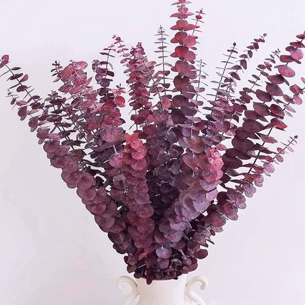 Dried Fall Eucalyptus Stems Red, Fall Floral Stems, Christmas Burgundy Dried Flowers for Vase, Re... | Amazon (US)