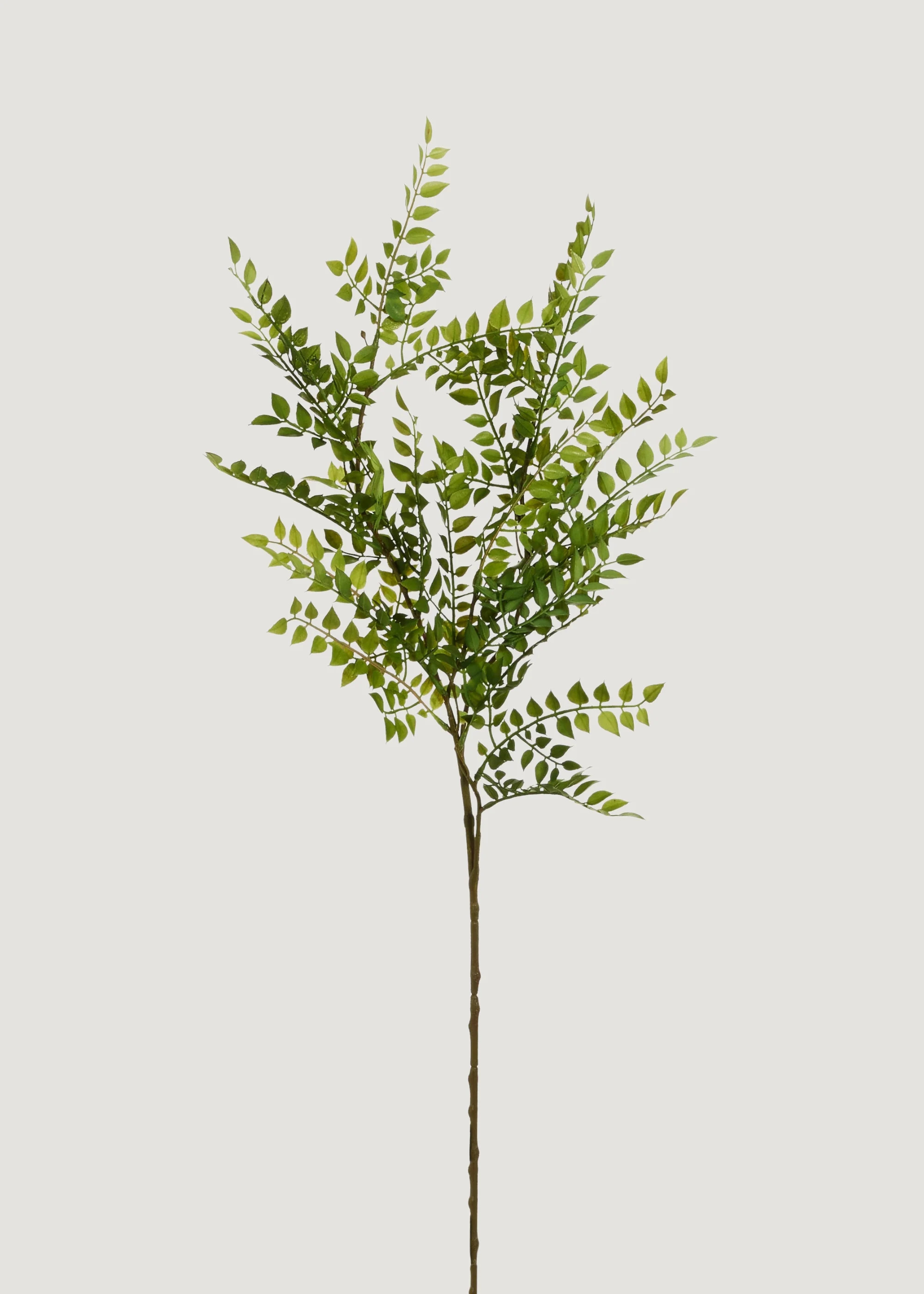 Artificial Ruscus Branch | Premium Fake Foliage and Leaves at Afloral | Afloral