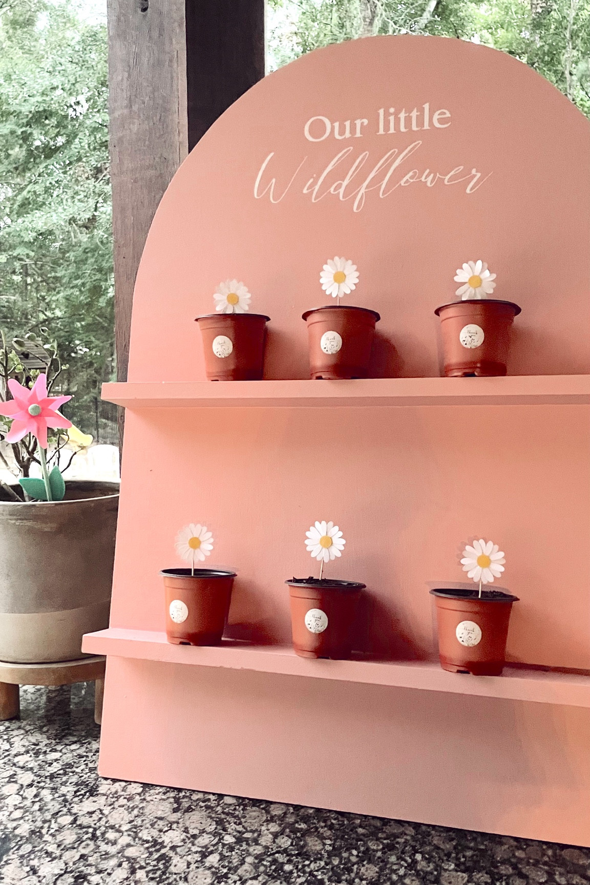 Flower birthday 
Garden pots 
Party favors 
Cricut
Amazon finds 


#LTKParties #LTKKids