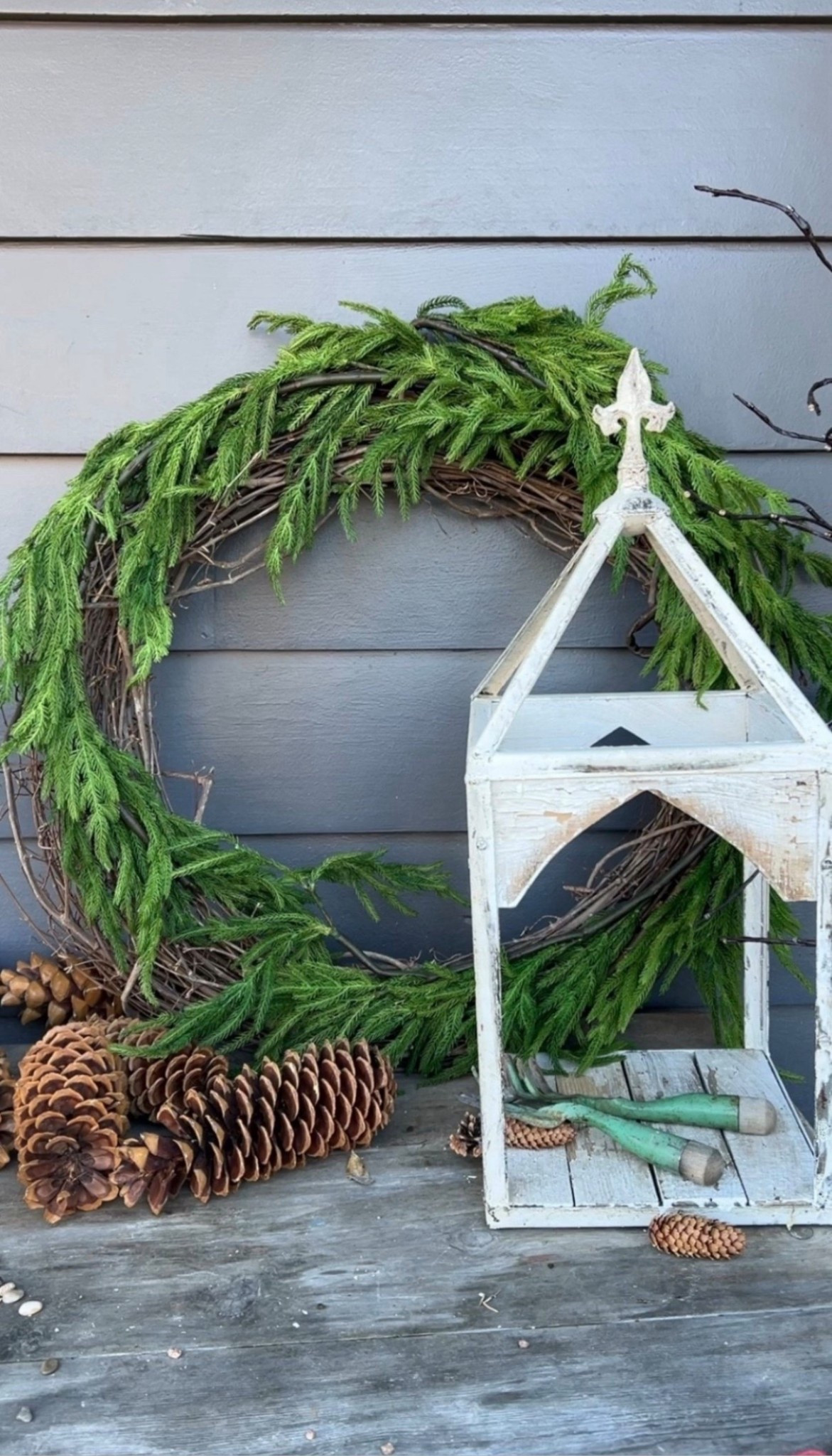 This real-touch Norfolk Pine garland is such a beautiful find for garden and nature lovers 🌲 It has that fresh, just-clipped-from-the-yard look! Soft, realistic, and perfect for bringing a bit of the outdoors inside this season.



#LTKHoliday #LTKGiftGuide #LTKSeasonal