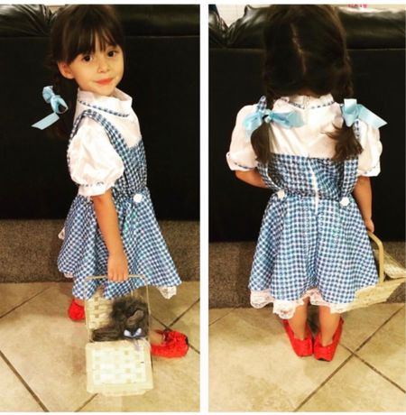 Dorothy Wizard of Oz Costume 

#LTKHalloween #LTKSeasonal #LTKkids