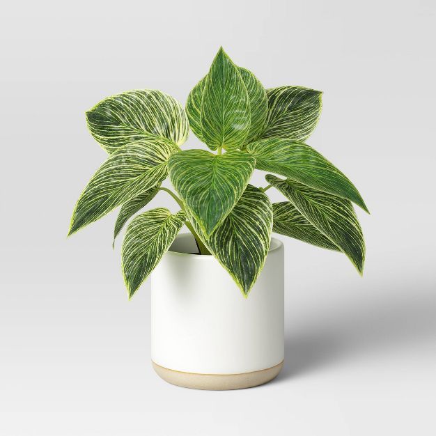 Medium Birkin Ceramic Pot - Threshold™ | Target