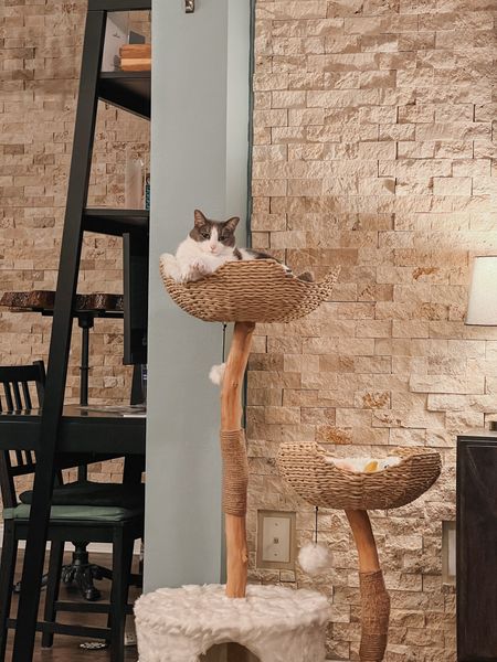 “So…where’d we land on extra bedtime snacks?” - Emory, probably 😹😻🐾 tagging the prettiest cat trees you can find here! 

#LTKhome #LTKstyletip #LTKfamily