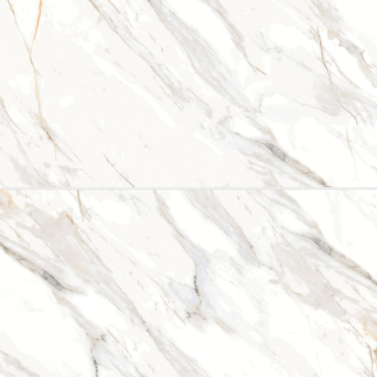 Shandar 24" x 48" Polished Porcelain Field Tile in Arezzo Bianco | Bedrosians Tile and Stone