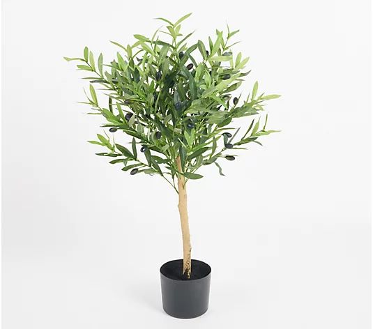 Wicker Park 3' Tall Indoor/Outdoor Faux Olive Tree in Growers Pot - QVC.com | QVC