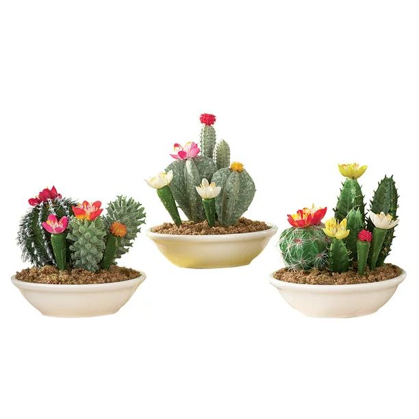 Set of 3 Faux Fake Flowering Cactus Plants in Pots | Walmart (US)
