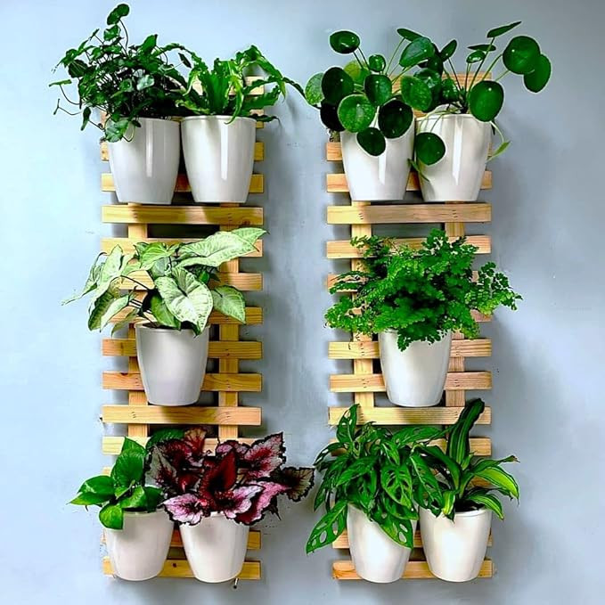 ShopLaLa Wooden Wall Planter - 2 Pack Wall Hanging Planters for Indoor Plants Ladder Wall Mounted... | Amazon (US)