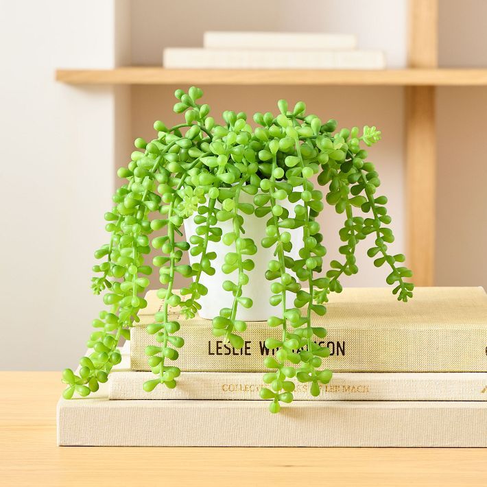 Faux Potted Trailing Succulent Plant | West Elm (US)