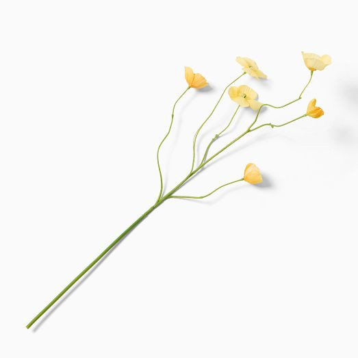 Faux Yellow Poppy Bundle | West Elm (US)