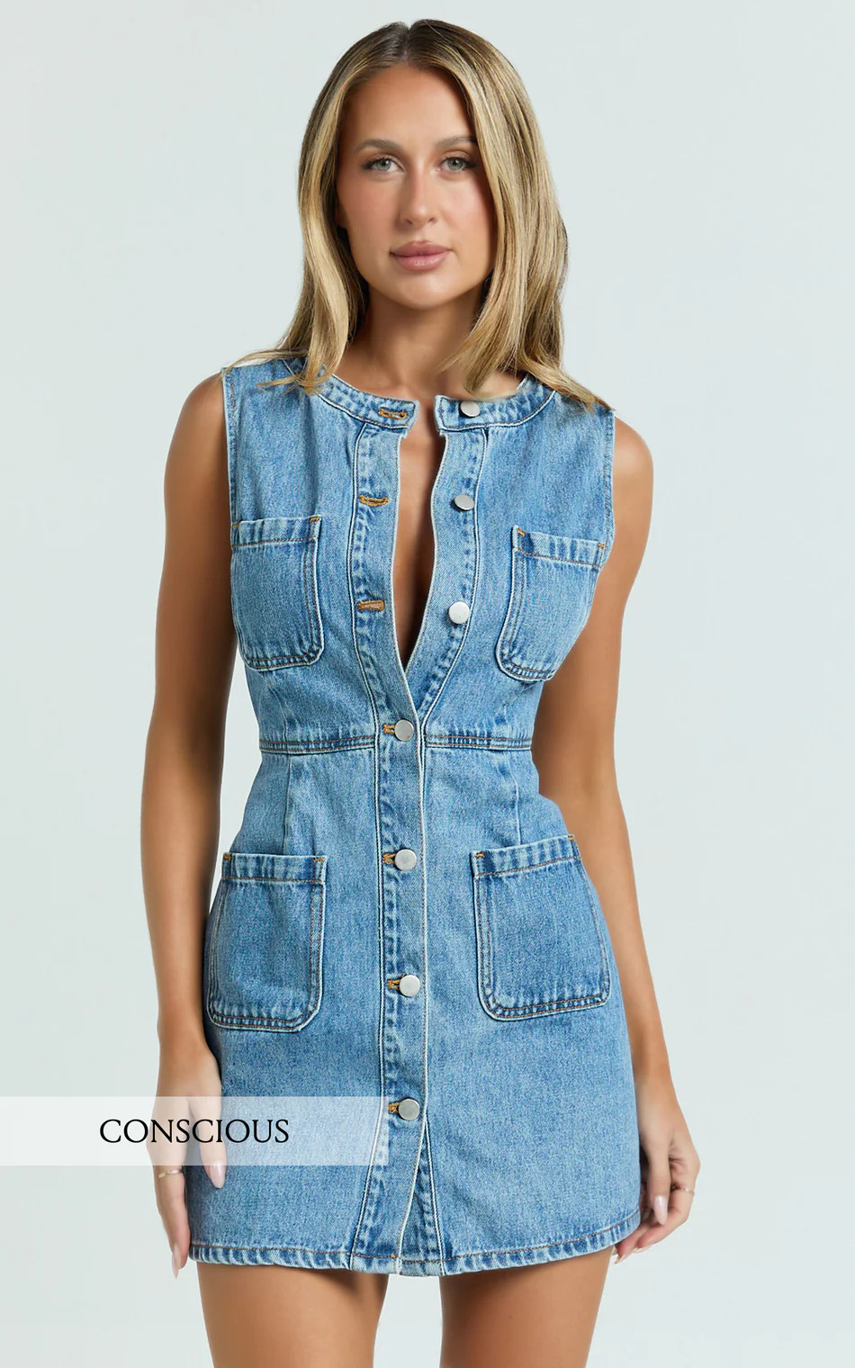 Stephanie Mini Dress | Showpo (ANZ)