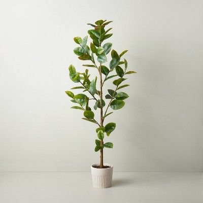 73&#34; Faux Rubber Leaf Tree - Hearth &#38; Hand&#8482; with Magnolia | Target