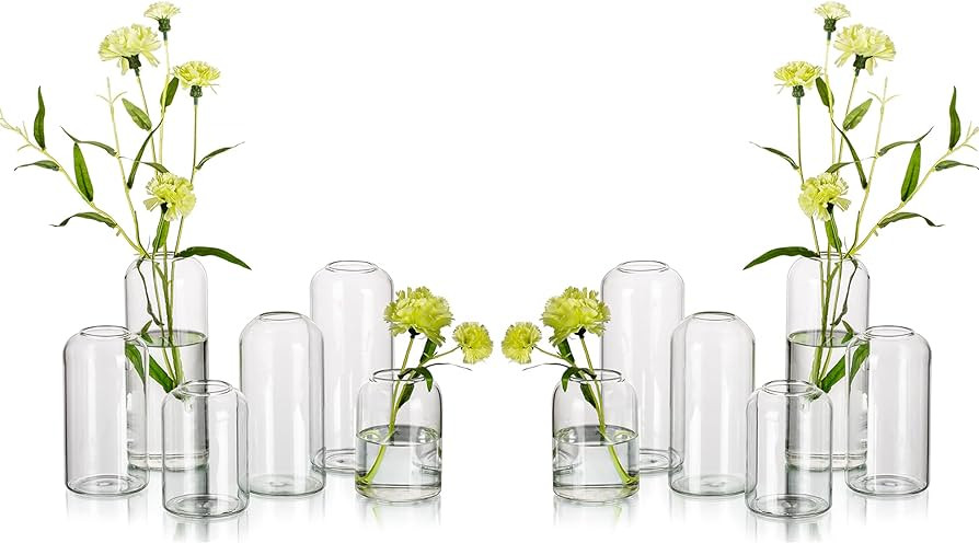 Glass Bud Vases for Flowers - Hewory Blown Modern Small Glass Vases for Centerpieces Set of 12, M... | Amazon (US)