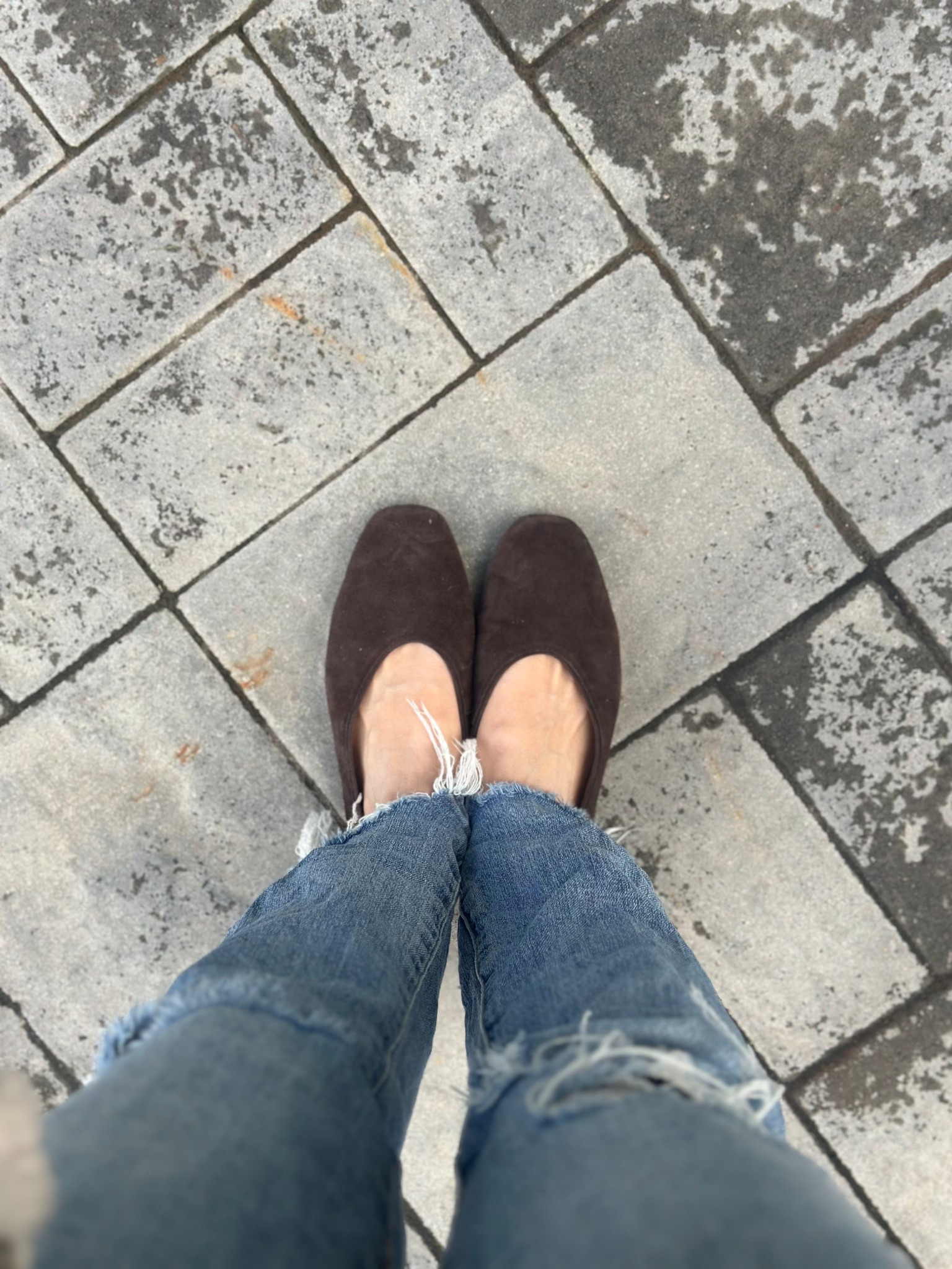 Chocolate brown flats. Madewell flats. Fall shoes. 

#LTKSeasonal #LTKShoeCrush