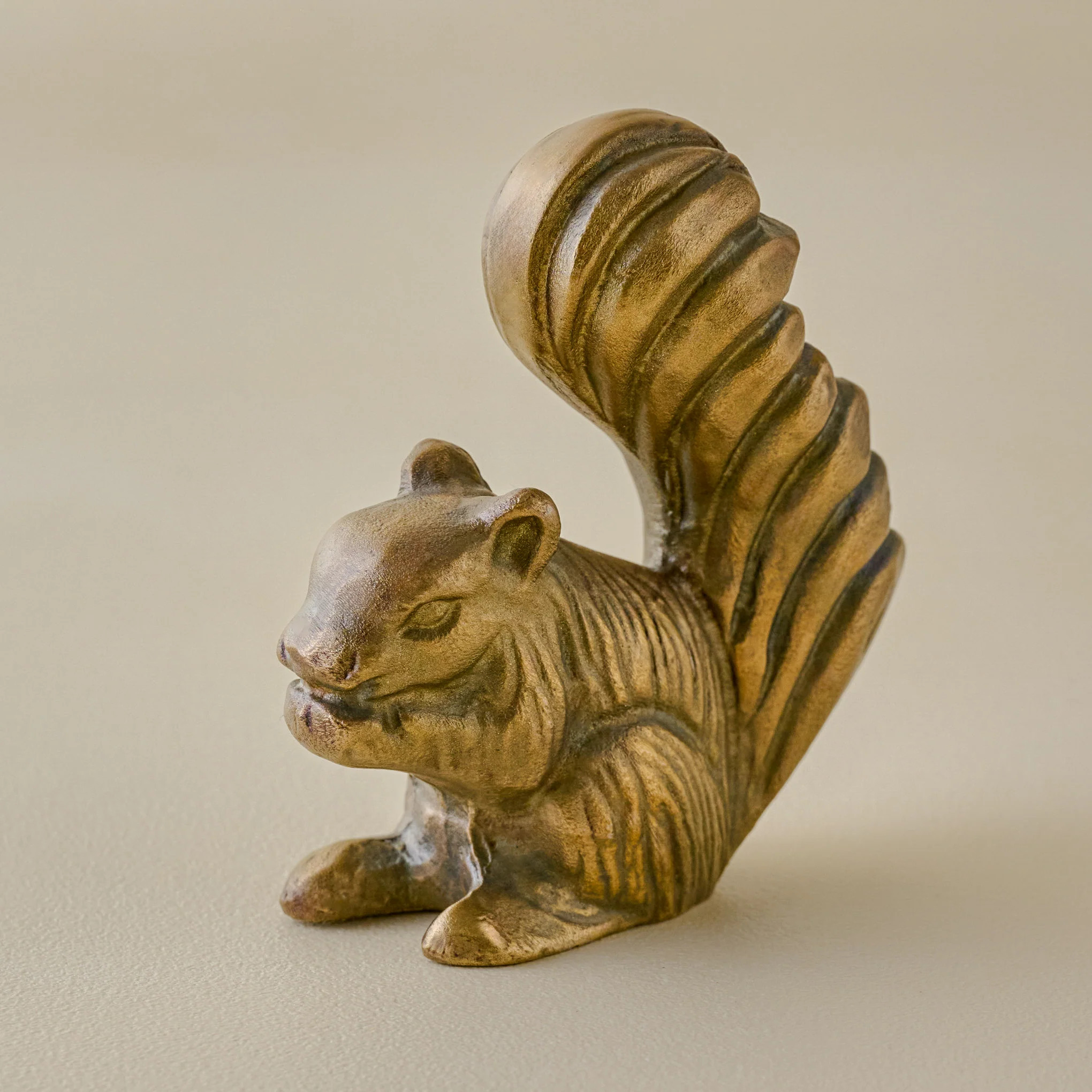 Splendid Squirrel Sit About | Magnolia