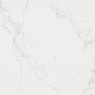 10 in. x 5 in. Quartz Countertop Sample in Empira White | The Home Depot