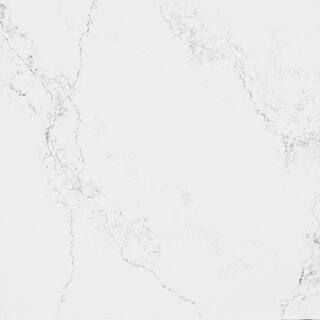 10 in. x 5 in. Quartz Countertop Sample in Empira White | The Home Depot