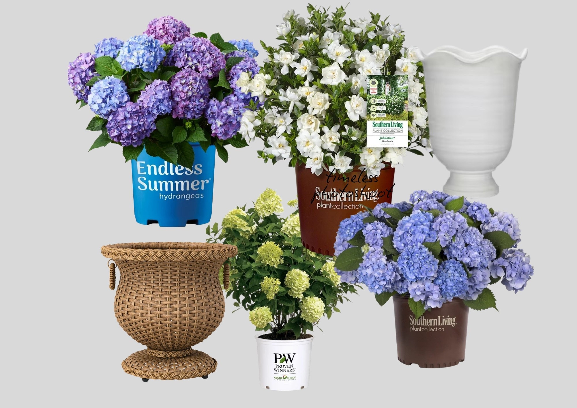 It’s gardening season!

#LTKSeasonal #LTKHome #LTKvlog