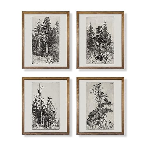 Modern Farmhouse Botanical Wall Art - Grey Neutral Forest Tree Sketch Drawing Etching - Beige Nat... | Amazon (US)