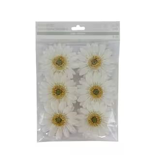 White Daisy Floral Accents by Ashland® | Michaels Stores