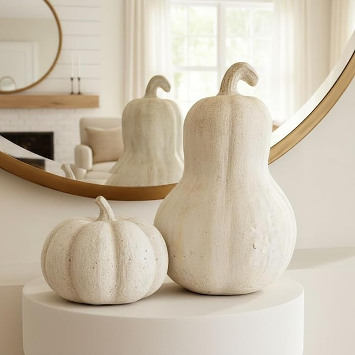 Bucherry 2 Pcs Terracotta Pumpkins Decorations for Home, White Resin Fall Pumpkin for Thanksgivin... | Amazon (US)