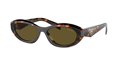 PR 26ZS | Sunglass Hut (US)