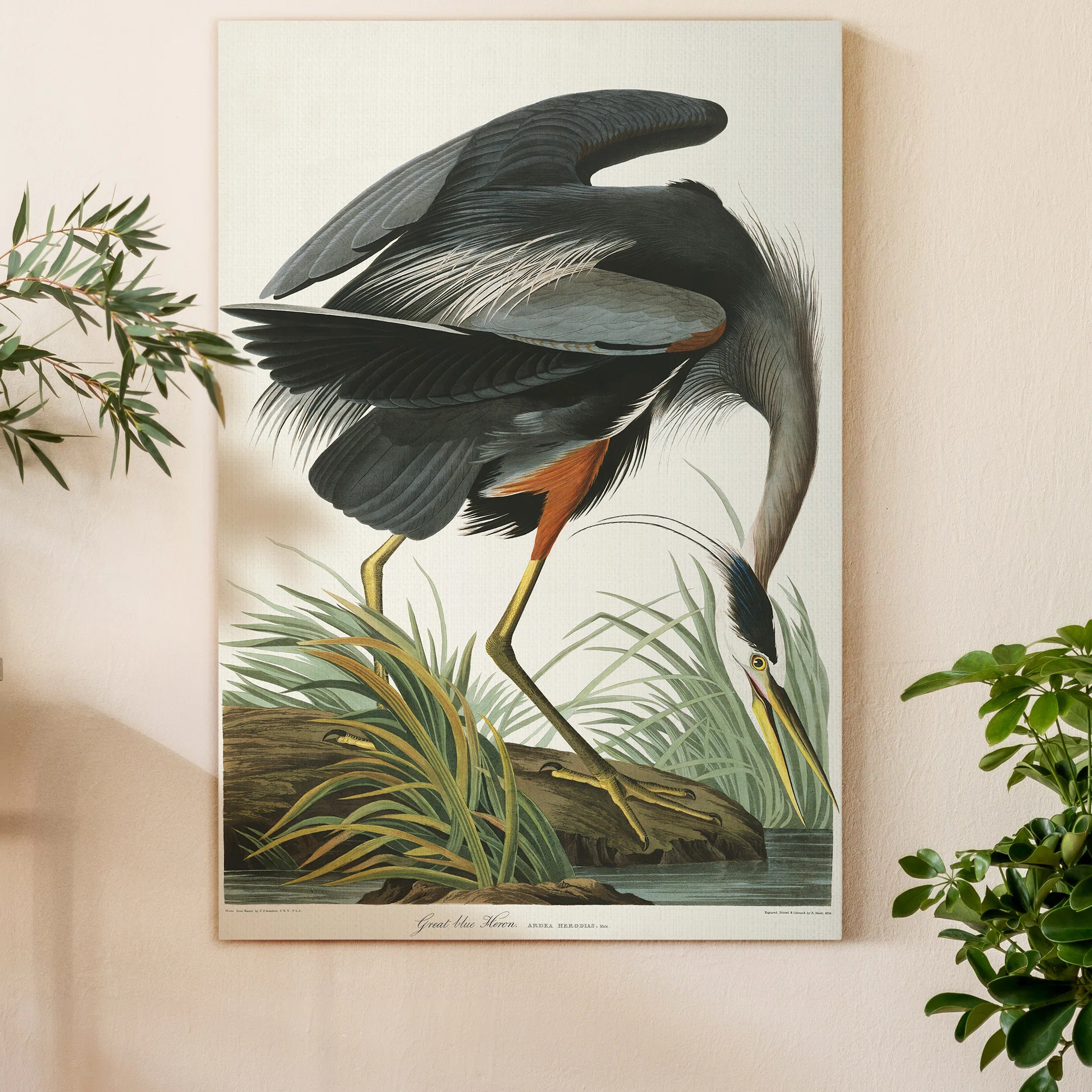 " Pl 211 Great Blue Heron " | Wayfair North America