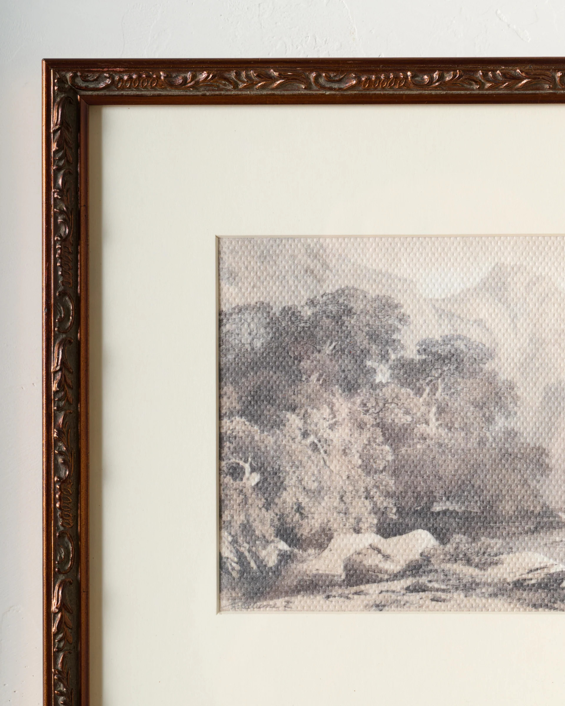 Through the Mist | Magnolia