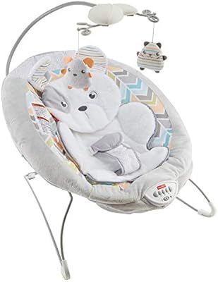 Fisher-Price Sweet Snugapuppy Dreams Deluxe Bouncer | Amazon (US)