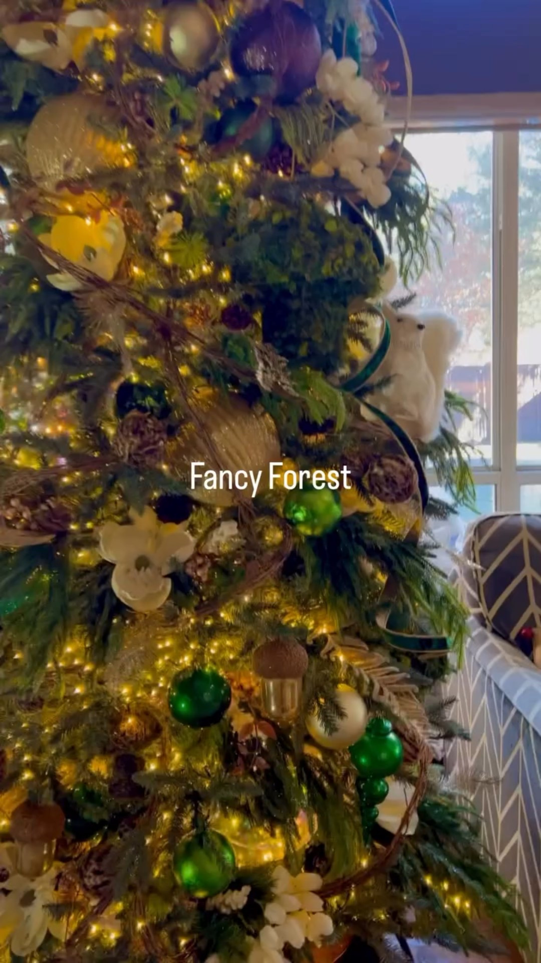 Comment “Designs” for a link to this Fancy Forest tree design and all of my other favorite designs.  Shop lights and decor used in each design, or simply use them as inspiration for your own designs.

What’s in a Fancy Forest Christmas Tree? 👇

Well, I knew I had to have giant DIY moss covered mushrooms in mine.  That’s why I took these DIY mushrooms my daughter and I made in the spring and covered them in moss.  They turned out , but let’s just say that wasn’t my cleanest or easiest DIY I’ve ever done.

Next, obviously you’ll need some fancy squirrels.  Check my LTK page for these guys.  They fit right in.

The other things I really love about this tree are the combination of my lighting recipe with the large iridescent ornaments.  I used one 40’ cluster light on the trunk and set that strand of lights to twinkle.  Then I lit the branches with three 75 foot snake lights.  The 10” iridescent ornaments let that light shine through the tree.  Love it!

Finally,  the ribbon is so gorgeous that I topped the tree off with the luxurious 4” Diamond and Pearl ribbon and accented it with the 1” emerald velvet ribbon.

Love this tree!  Shop the lights and other decor by commenting “Designs.” 

Don’t forget to follow me for more Christmas designs and lighting ideas for your home this holiday season.

Merry Christmas everyone!

Tara

#Christmas #christmaslights #lights #christmasdecor #christmasdecorating #holiday #holidaydecor #holidaylights #christmastree #Christmastime #Christmas decorations #christmastreedecorating #christmasmood #christmasspirit #christmasvibes #christmasmagic #sparkle #shinebright #holidays #holidaydecorating #holidayseason #holidayhome #warmwhitelights #ribbon #clusterlights

#LTKHome #LTKSeasonal #LTKHoliday