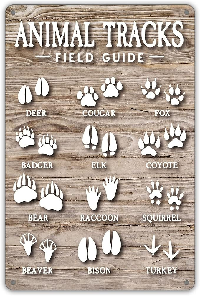 Funny Animal Tracks Field Guide Metal Tin Sign Wall Decor Rustic Woodland Theme Nursery Sign for ... | Amazon (US)