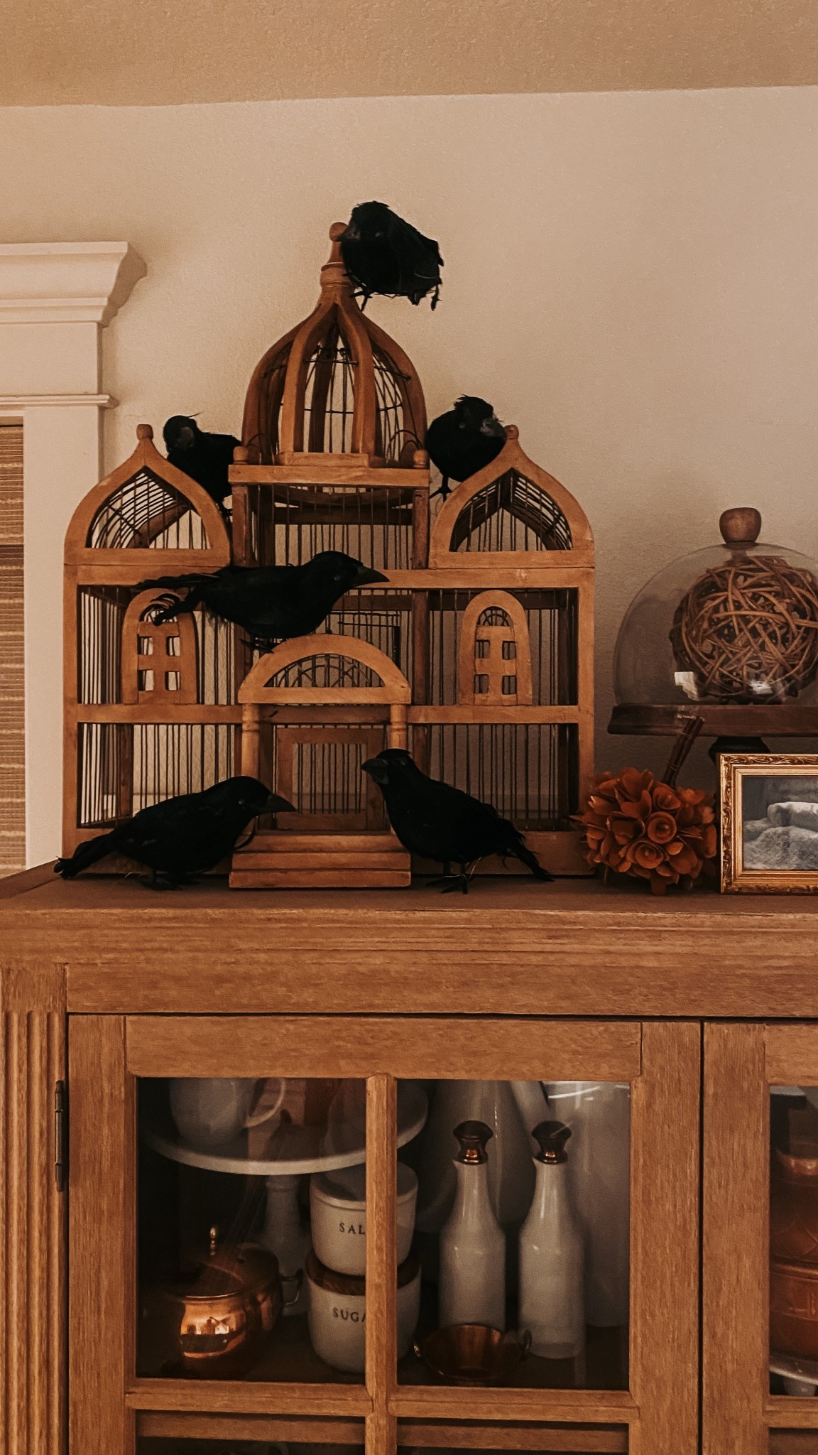 Amazon Crows

#LTKSeasonal #LTKHome #LTKFallSale