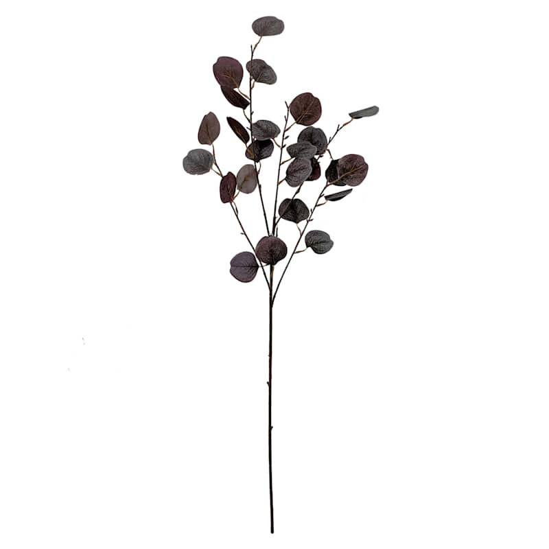 Burgundy Eucalyptus Leaf Stem, 36" | At Home