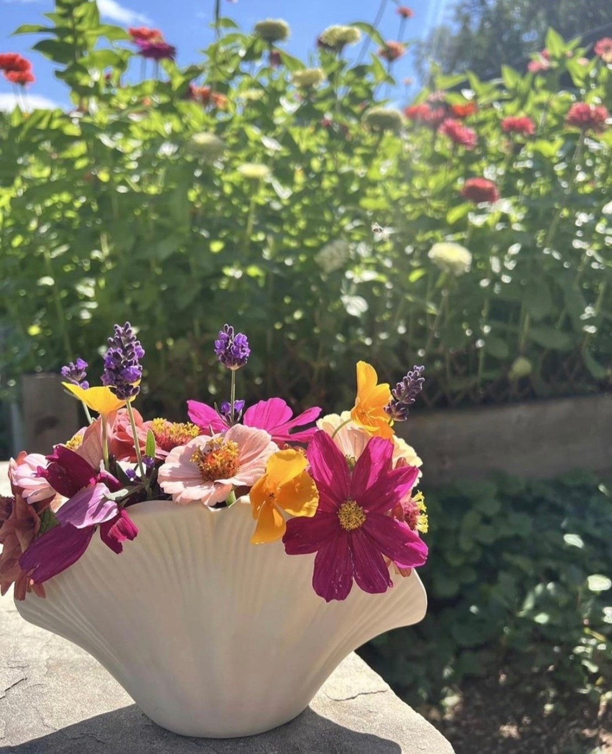 Every flower season, this vase ends up making its way back out. There’s just something about that shell shape that makes a few garden blooms look so pretty without even trying 💐🌸

#LTKSeasonal #LTKHome #LTKSaleAlert