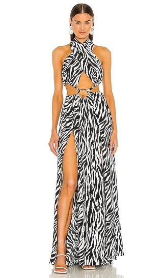 Zebra Maxi Dress | Revolve Clothing (Global)