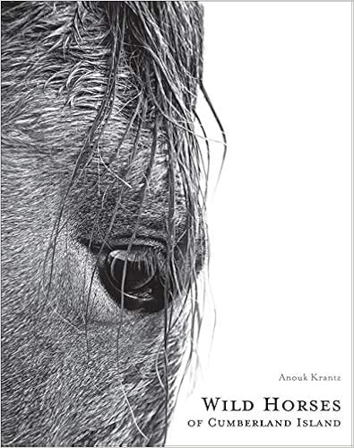 Wild Horses of Cumberland Island | Amazon (US)