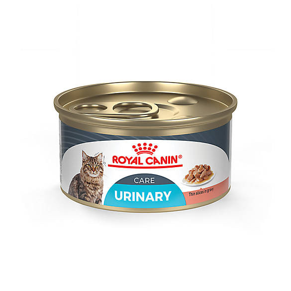 Royal Canin Feline Urinary Care Thin Slices in Gravy Wet Cat Food, 3 oz can, case of 24 | PetSmart
