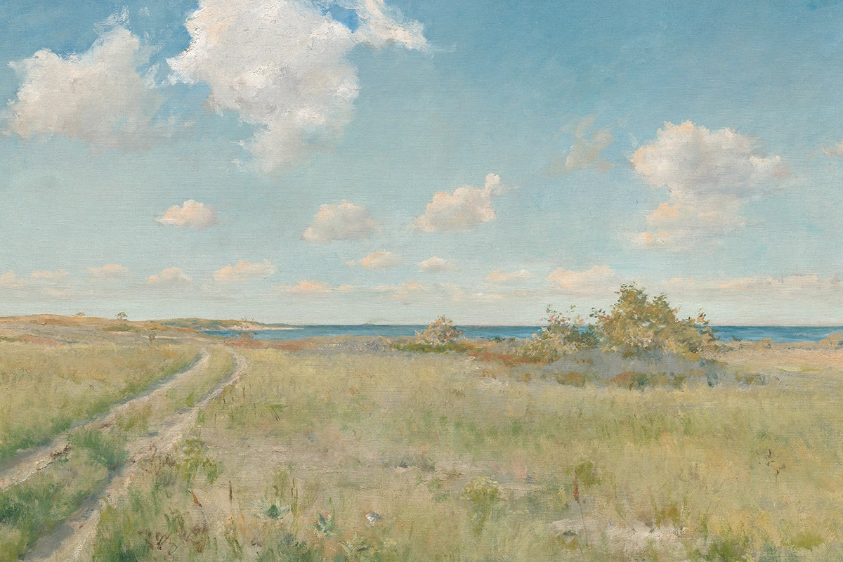 Road to the Sea | Juniper Print Shop