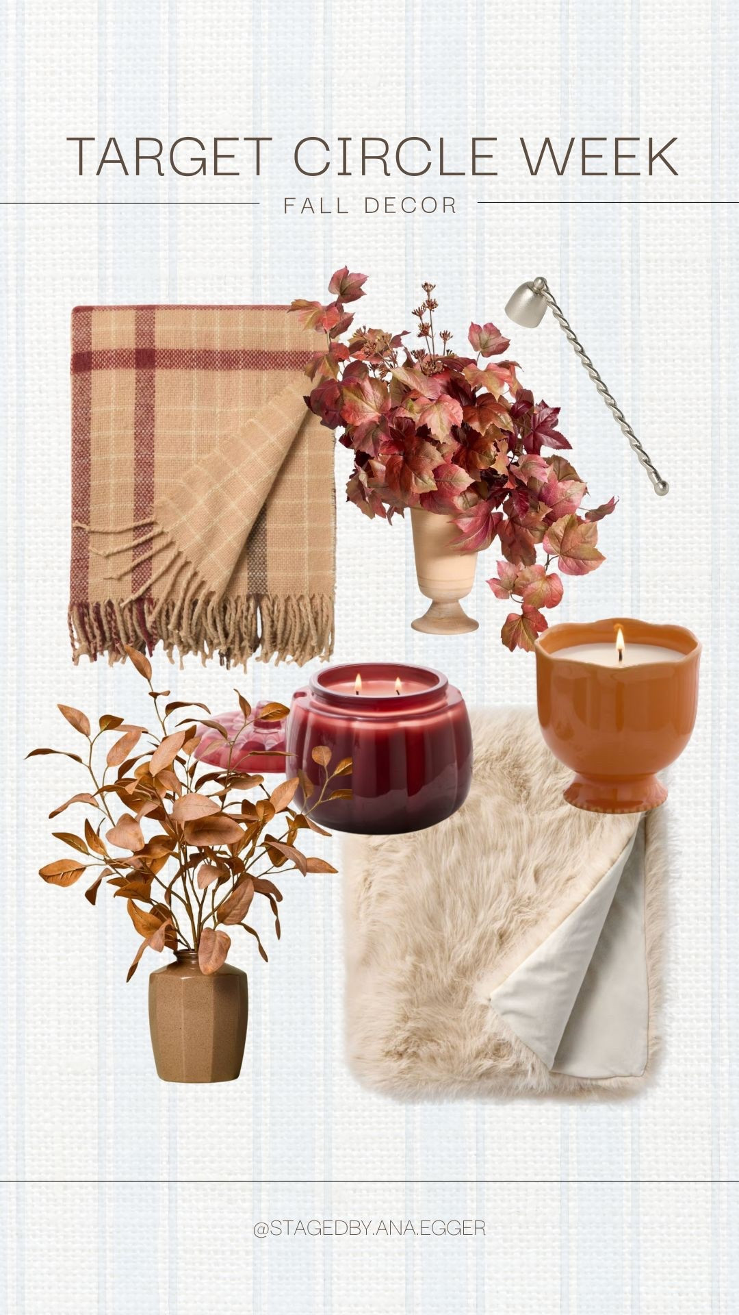 Fall decor from Target 🤎

#LTKHome #LTKSaleAlert #LTKStyleTip