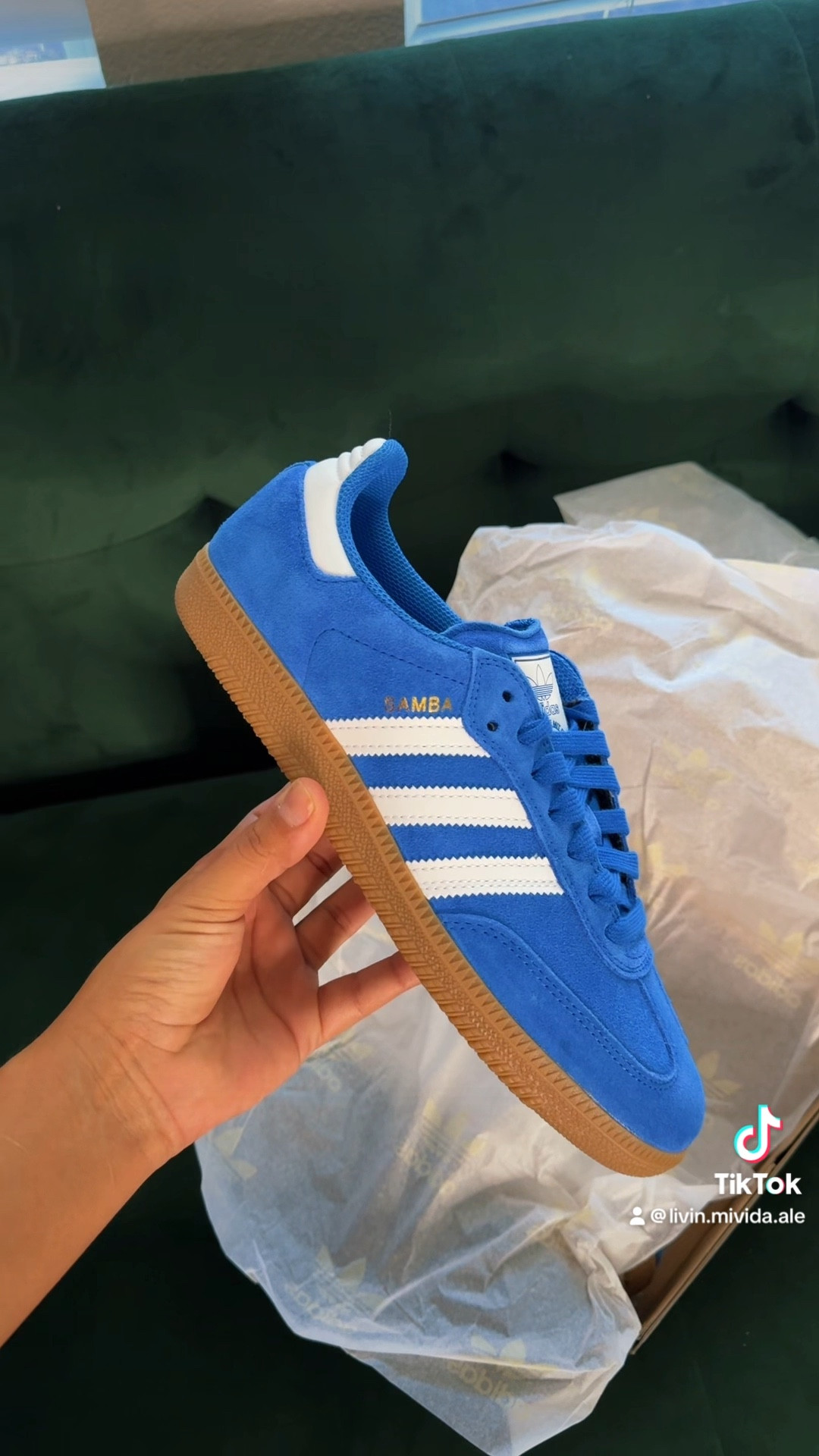 New babies 🥹 @adidas #adidas #gazelle 

#LTKActive #LTKVideo #LTKSeasonal