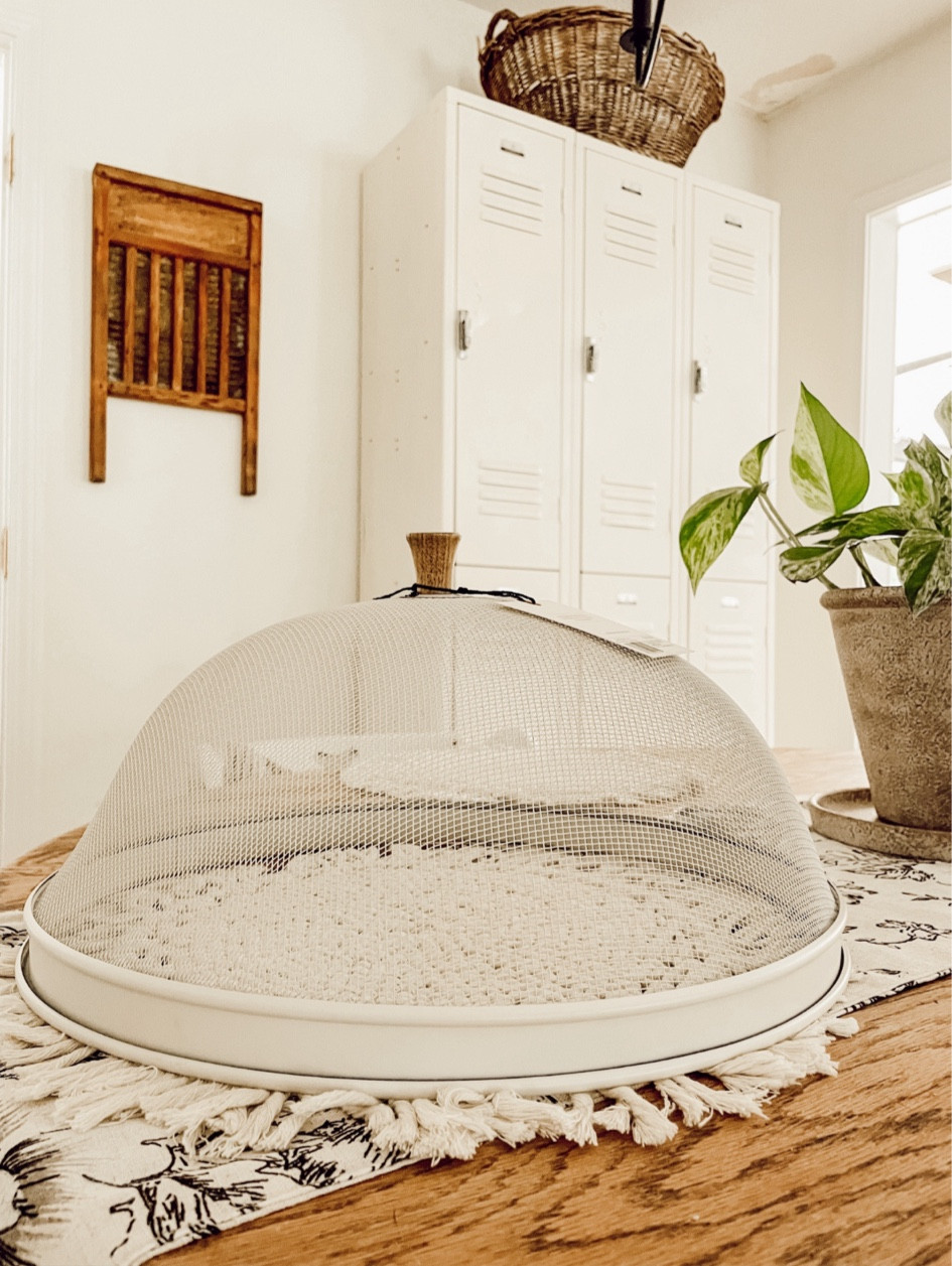 My favorite item for summer outdoor hosting! Cottage core food cover under $15! ☀️☀️

#LTKhome #LTKfindsunder50 #LTKSeasonal