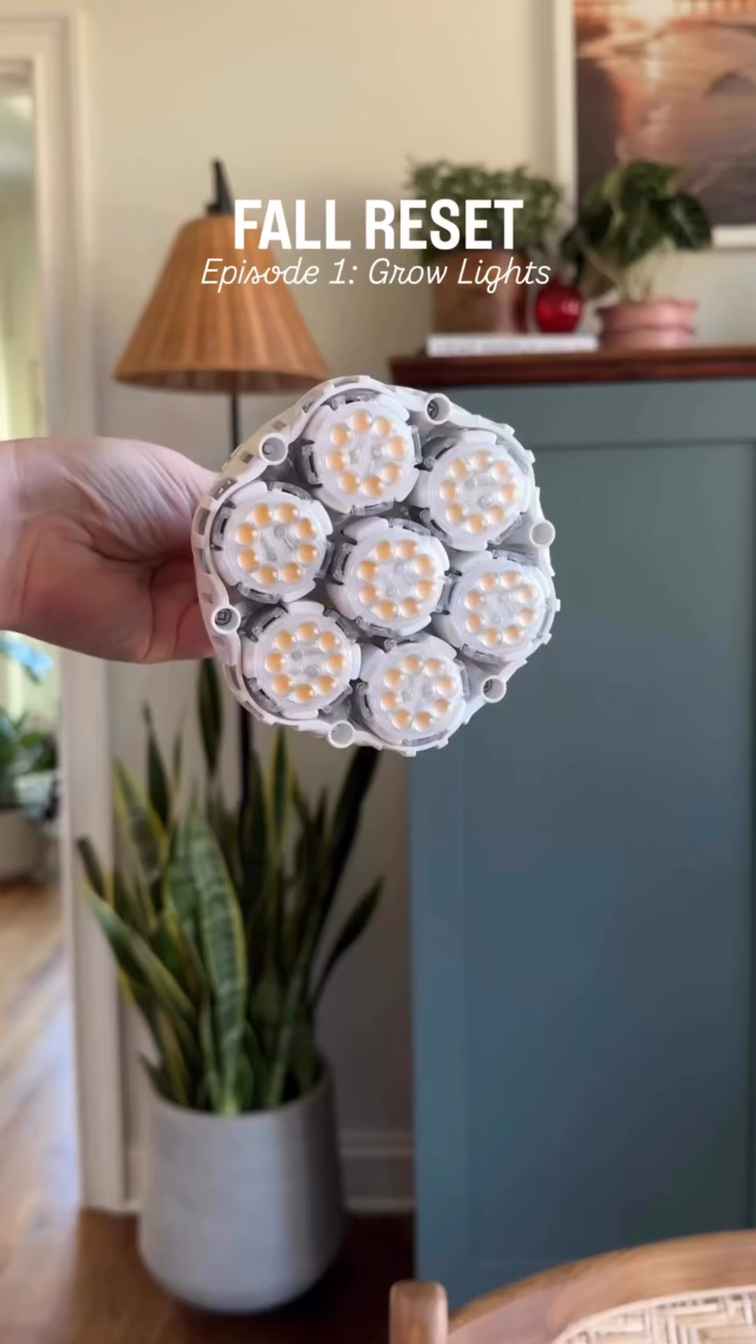 Welcome to Fall Reset, episode 1! Lighting becomes so important during the fall and winter months as days get shorter and shorter. Adding grow lights is a perfect way to compensate for less sun. 

#houseplants #houseplantclub #houseplantsofinstagram #houseplantlove #houseplantcommunity #houseplantclub #houseplantsmakemehappy #houseplantdiary #houseplantaddict #houseplantlover #houseplanthome #houseplantdesign #planter #plantfilledhome #plantdecorideas #plantlover #plantlife #plantmom #plantparenthood #plantsmakepeoplehappy #plantsmakemehappy #plantstyling