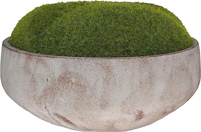 Artificial Moss Planted in a Concrete Bowl | Centerpiece | Home Décor | Hand-Painted | Large 12"... | Amazon (US)